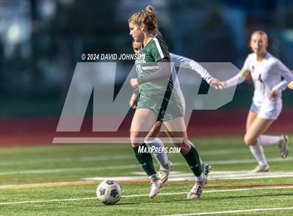 Thumbnail 1 in Chaparral @ Fossil Ridge (CHSAA 5A Round 2) photogallery.