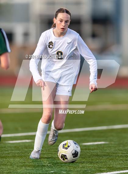 Thumbnail 1 in Chaparral @ Fossil Ridge (CHSAA 5A Round 2) photogallery.
