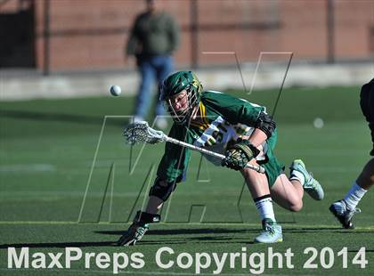 Thumbnail 3 in Pine Creek @ Mountain Vista photogallery.