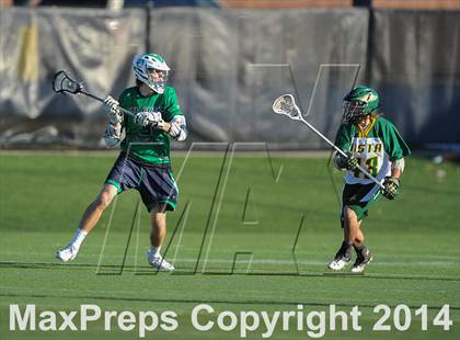 Thumbnail 3 in Pine Creek @ Mountain Vista photogallery.