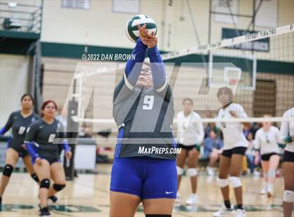 Thumbnail 2 in Seagoville @ Poteet photogallery.