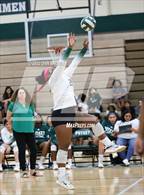 Photo from the gallery "Seagoville @ Poteet"