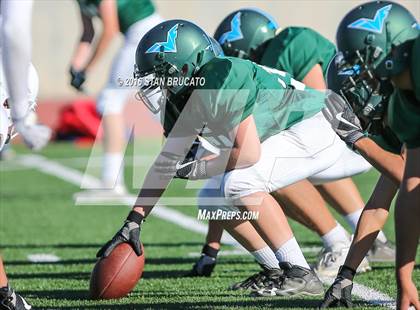 Thumbnail 3 in Beckman Patriots @ Irvine Vaqueros  photogallery.