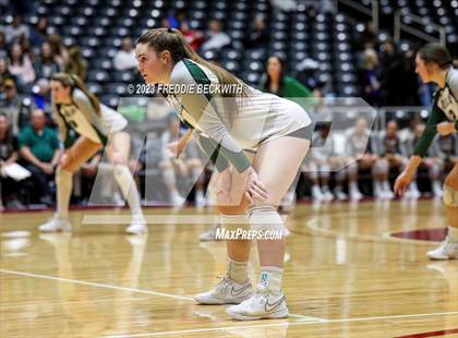 Thumbnail 3 in Grand Oaks vs. Prosper (UIL 6A Volleyball Semi-Final) photogallery.