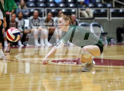 Thumbnail 3 in Grand Oaks vs. Prosper (UIL 6A Volleyball Semi-Final) photogallery.