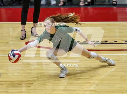 Thumbnail 1 in Grand Oaks vs. Prosper (UIL 6A Volleyball Semi-Final) photogallery.