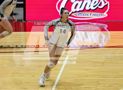 Thumbnail 1 in Grand Oaks vs. Prosper (UIL 6A Volleyball Semi-Final) photogallery.