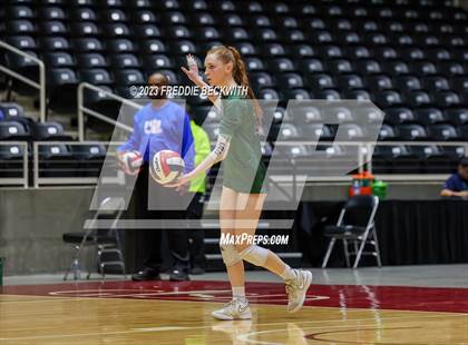 Thumbnail 2 in Grand Oaks vs. Prosper (UIL 6A Volleyball Semi-Final) photogallery.