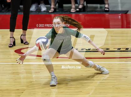 Thumbnail 2 in Grand Oaks vs. Prosper (UIL 6A Volleyball Semi-Final) photogallery.