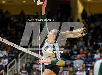 Thumbnail 3 in Grand Oaks vs. Prosper (UIL 6A Volleyball Semi-Final) photogallery.