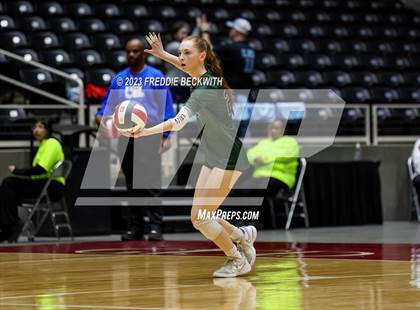 Thumbnail 3 in Grand Oaks vs. Prosper (UIL 6A Volleyball Semi-Final) photogallery.