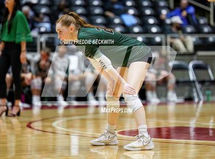 Thumbnail 2 in Grand Oaks vs. Prosper (UIL 6A Volleyball Semi-Final) photogallery.