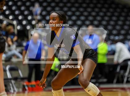 Thumbnail 1 in Grand Oaks vs. Prosper (UIL 6A Volleyball Semi-Final) photogallery.