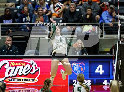 Thumbnail 1 in Grand Oaks vs. Prosper (UIL 6A Volleyball Semi-Final) photogallery.