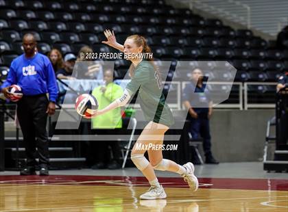 Thumbnail 1 in Grand Oaks vs. Prosper (UIL 6A Volleyball Semi-Final) photogallery.