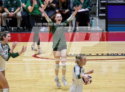 Thumbnail 3 in Grand Oaks vs. Prosper (UIL 6A Volleyball Semi-Final) photogallery.