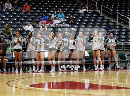 Thumbnail 1 in Grand Oaks vs. Prosper (UIL 6A Volleyball Semi-Final) photogallery.