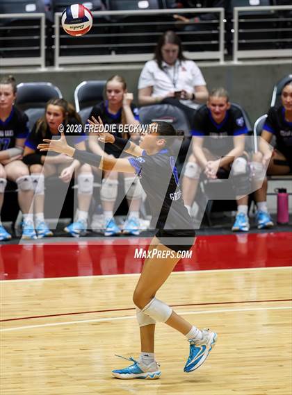 Thumbnail 1 in Grand Oaks vs. Prosper (UIL 6A Volleyball Semi-Final) photogallery.