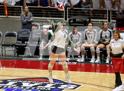 Thumbnail 3 in Grand Oaks vs. Prosper (UIL 6A Volleyball Semi-Final) photogallery.