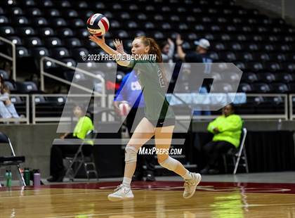 Thumbnail 1 in Grand Oaks vs. Prosper (UIL 6A Volleyball Semi-Final) photogallery.