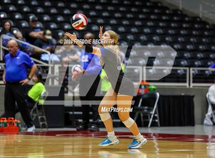 Thumbnail 2 in Grand Oaks vs. Prosper (UIL 6A Volleyball Semi-Final) photogallery.