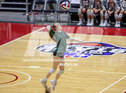 Thumbnail 3 in Grand Oaks vs. Prosper (UIL 6A Volleyball Semi-Final) photogallery.