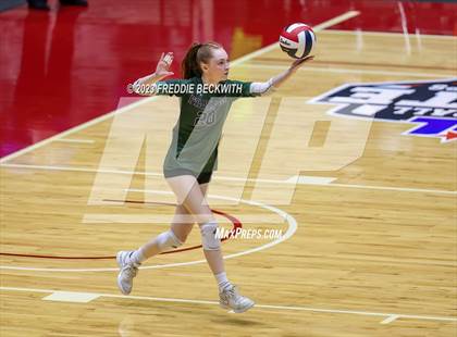 Thumbnail 2 in Grand Oaks vs. Prosper (UIL 6A Volleyball Semi-Final) photogallery.