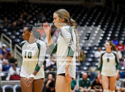 Thumbnail 3 in Grand Oaks vs. Prosper (UIL 6A Volleyball Semi-Final) photogallery.