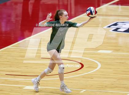 Thumbnail 2 in Grand Oaks vs. Prosper (UIL 6A Volleyball Semi-Final) photogallery.