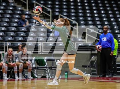 Thumbnail 1 in Grand Oaks vs. Prosper (UIL 6A Volleyball Semi-Final) photogallery.