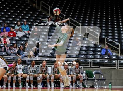 Thumbnail 2 in Grand Oaks vs. Prosper (UIL 6A Volleyball Semi-Final) photogallery.