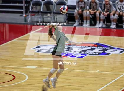 Thumbnail 1 in Grand Oaks vs. Prosper (UIL 6A Volleyball Semi-Final) photogallery.