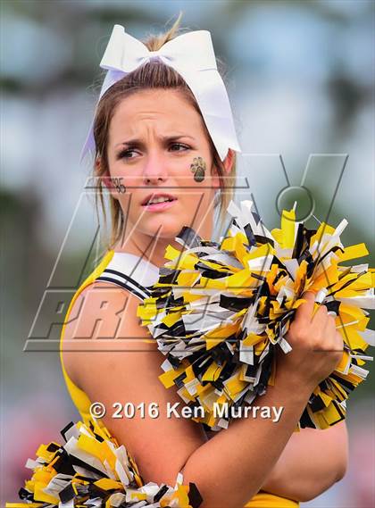 Thumbnail 1 in Langham Creek @ Klein Oak photogallery.