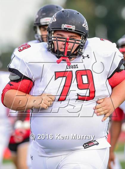 Thumbnail 3 in Langham Creek @ Klein Oak photogallery.