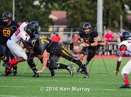 Thumbnail 2 in Langham Creek @ Klein Oak photogallery.