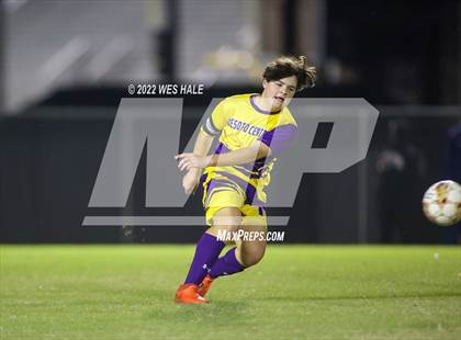 Thumbnail 1 in Hernando @ DeSoto Central photogallery.