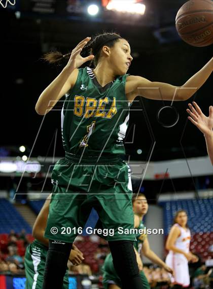 Thumbnail 3 in St. Francis vs Brea Olinda (CIF State D1 Final) photogallery.