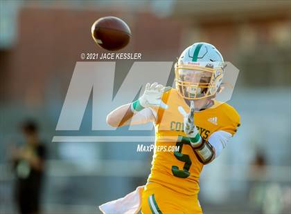 Thumbnail 1 in Kennedy @ Canyon photogallery.