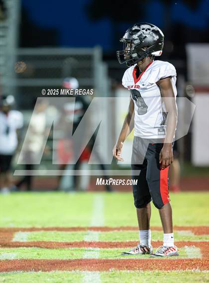 Thumbnail 2 in JV: Palm Bay @ Satellite photogallery.
