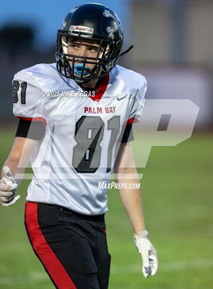 Thumbnail 1 in JV: Palm Bay @ Satellite photogallery.