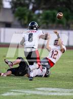 Photo from the gallery "Palm Bay @ Satellite"