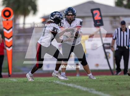 Thumbnail 3 in JV: Palm Bay @ Satellite photogallery.