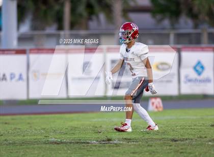 Thumbnail 3 in JV: Palm Bay @ Satellite photogallery.