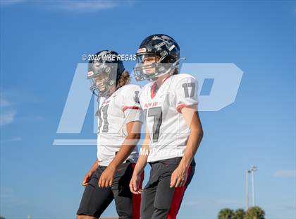 Thumbnail 2 in JV: Palm Bay @ Satellite photogallery.
