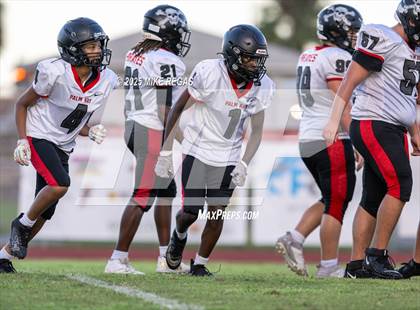 Thumbnail 2 in JV: Palm Bay @ Satellite photogallery.