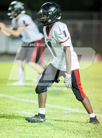 Thumbnail 2 in JV: Palm Bay @ Satellite photogallery.