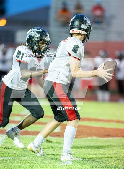 Thumbnail 1 in JV: Palm Bay @ Satellite photogallery.