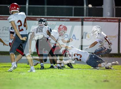 Thumbnail 2 in JV: Palm Bay @ Satellite photogallery.