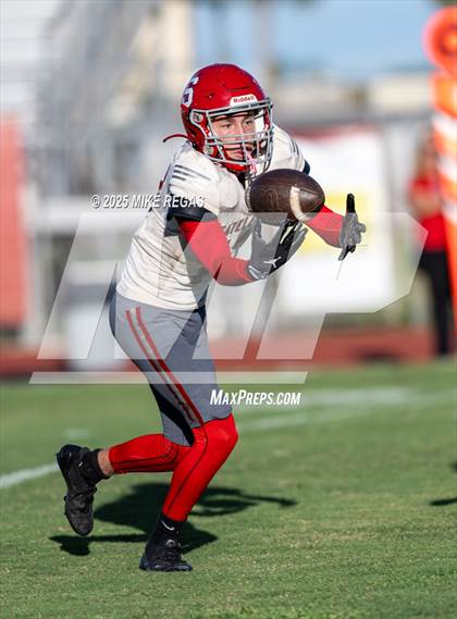 Thumbnail 2 in JV: Palm Bay @ Satellite photogallery.