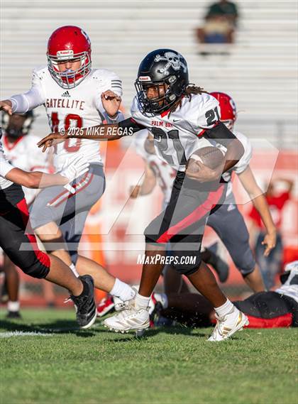 Thumbnail 2 in JV: Palm Bay @ Satellite photogallery.